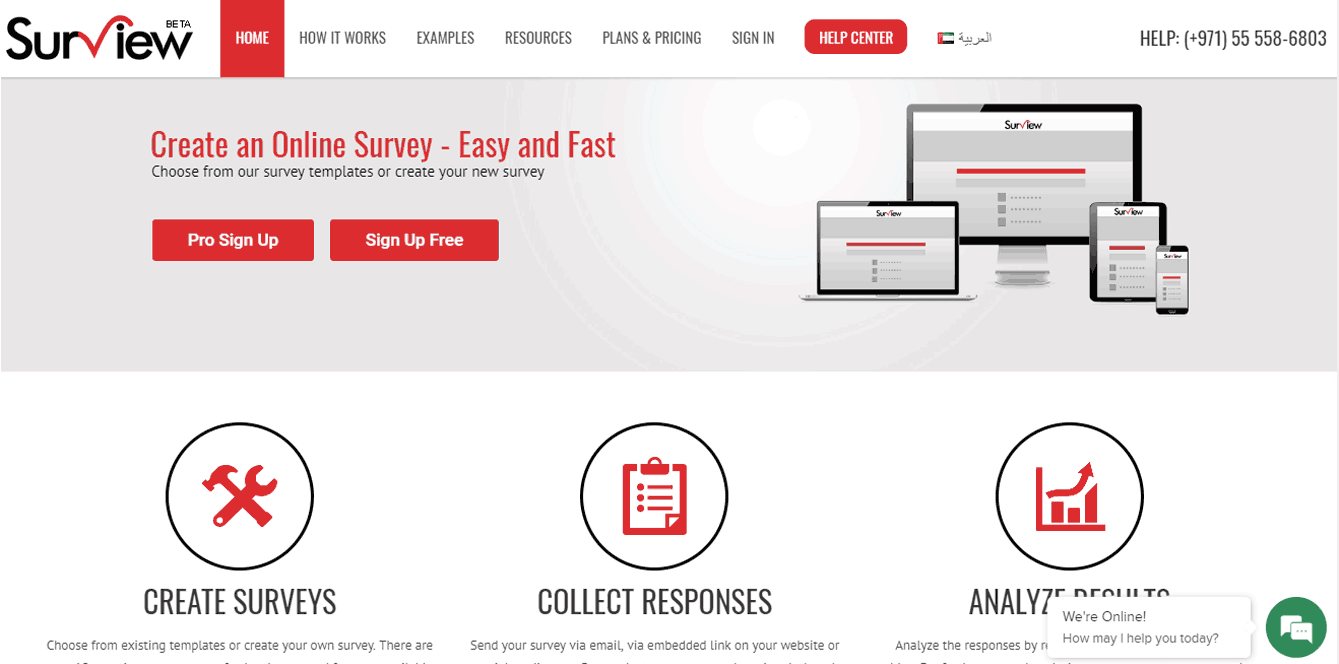 Online Survey